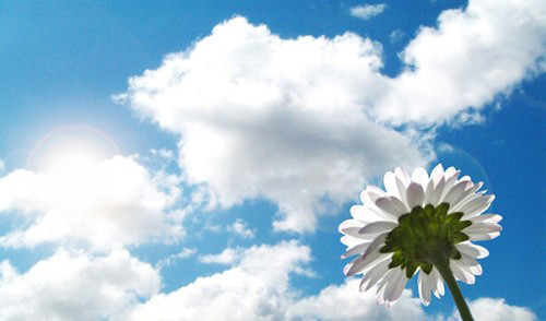 八字五行缺什么就补什么字吗?