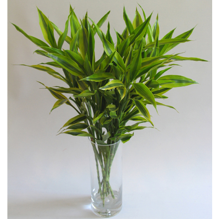 其实风水一点都不神秘,揭秘亿万富翁们如何讲究风水